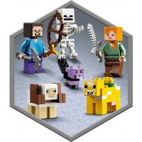 LEGO® Minecraft™ 21169 Prvé dobrodružstvo 4