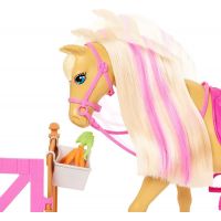 Mattel Barbie Rozkošný koník s doplnkami 5