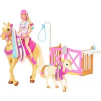 Mattel Barbie Rozkošný koník s doplnkami 3