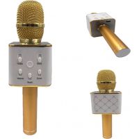Mikrofon karaoke kov 25 cm nabíjení přes USB zlatý 3