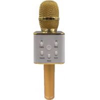 Mikrofon karaoke kov 25 cm nabíjení přes USB zlatý 2