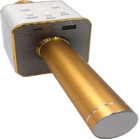 Mikrofon karaoke kov 25 cm nabíjení přes USB zlatý 5